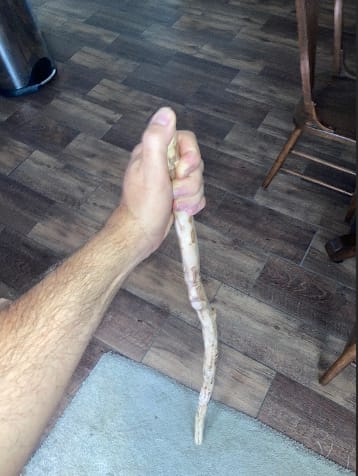 Walking Stick - Image 2