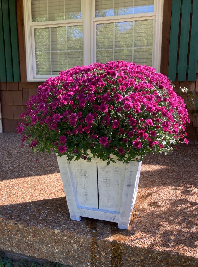 Planter