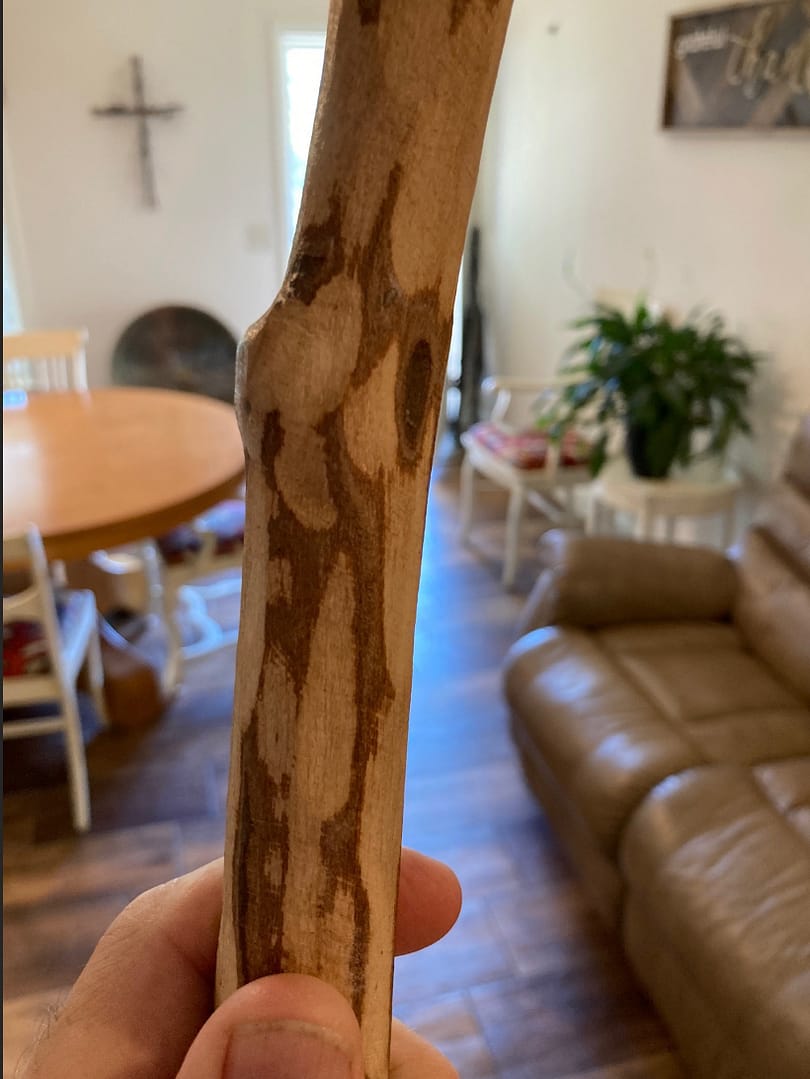 Walking Stick